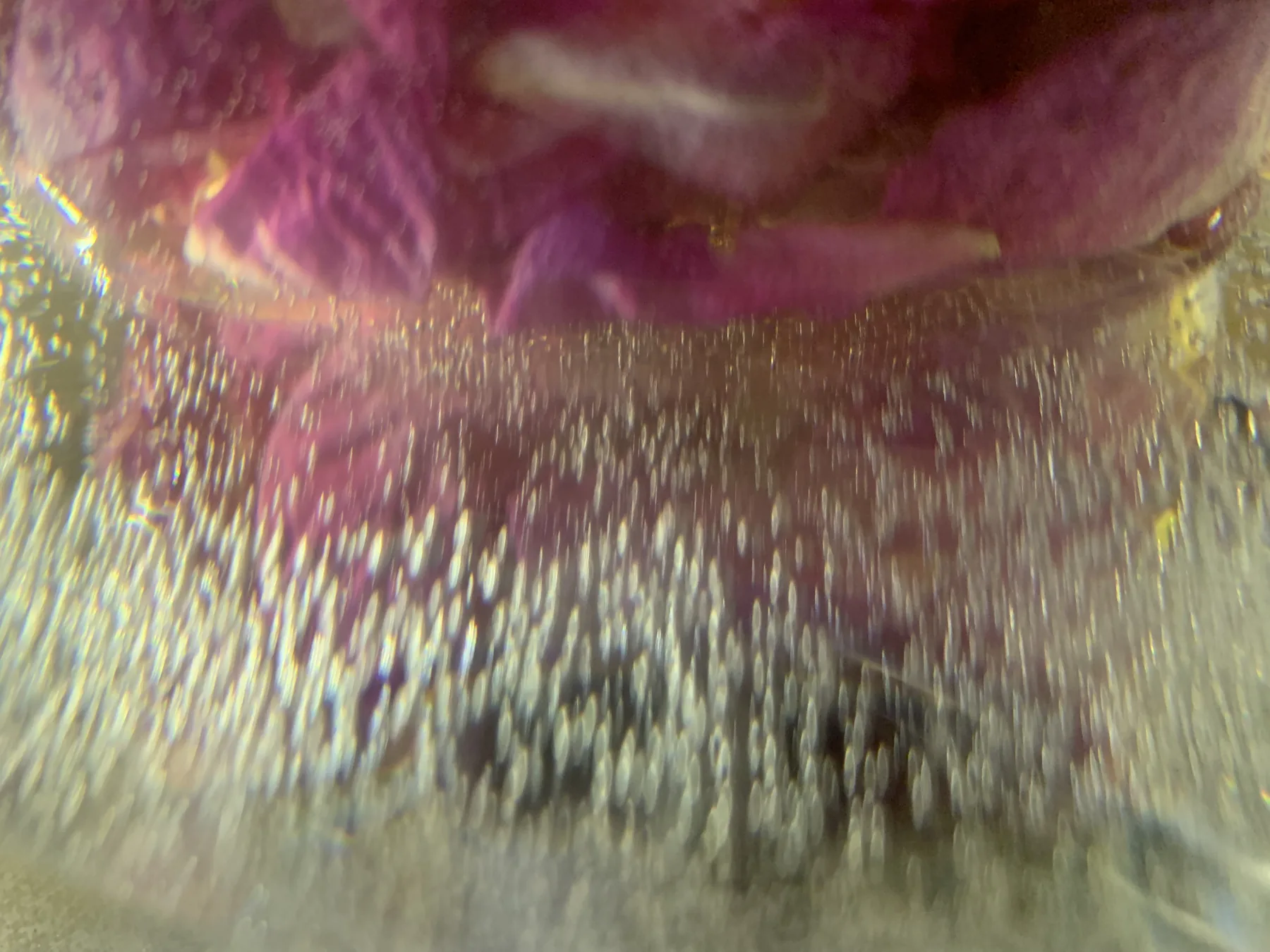 Detail květu a třpytivého materiálu v růžových a zlatých tónech